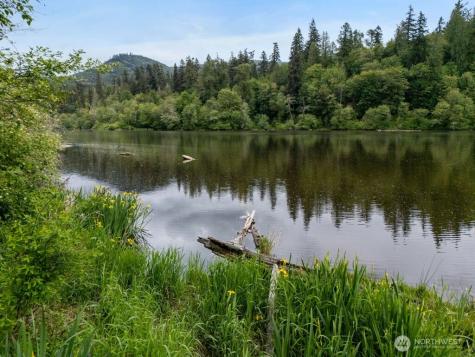 0 Orville Road E Eatonville WA 98328
