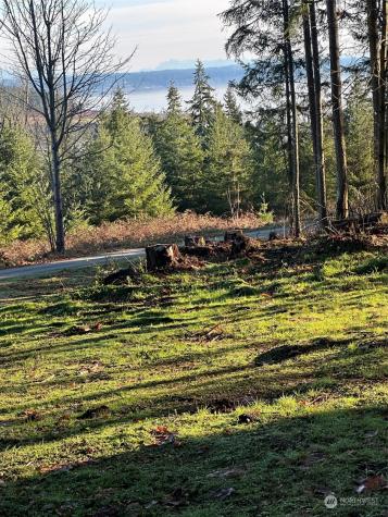 222 Triangle Cove Lane Camano Island WA 98282