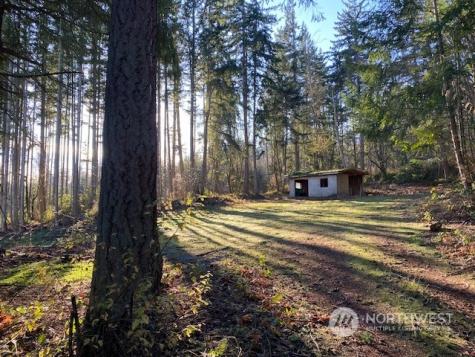 222 Triangle Cove Lane Camano Island WA 98282