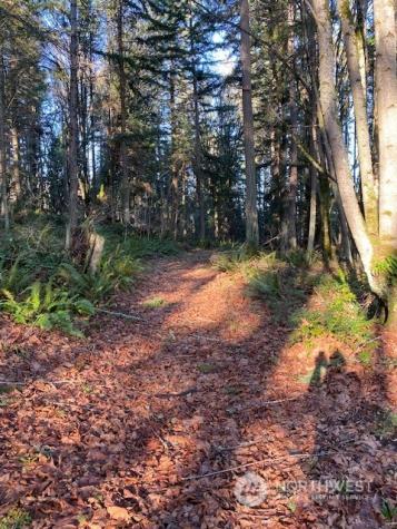 222 Triangle Cove Lane Camano Island WA 98282
