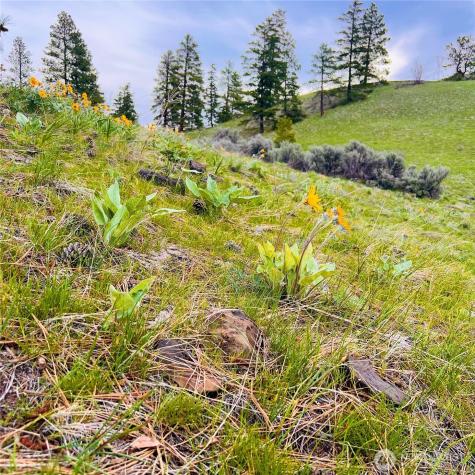 66 Coyote Lane Waterville WA 98843