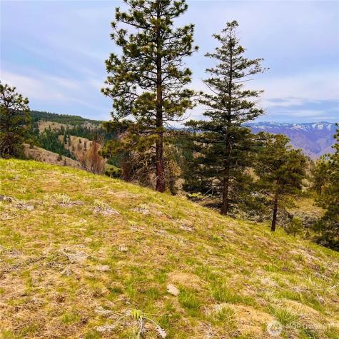 66 Coyote Lane Waterville WA 98843