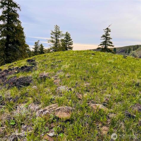 66 Coyote Lane Waterville WA 98843