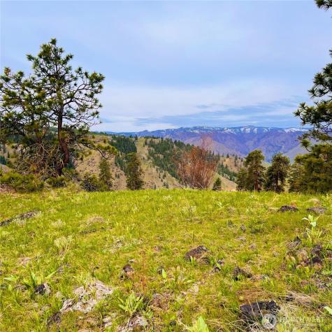 66 Coyote Lane Waterville WA 98843