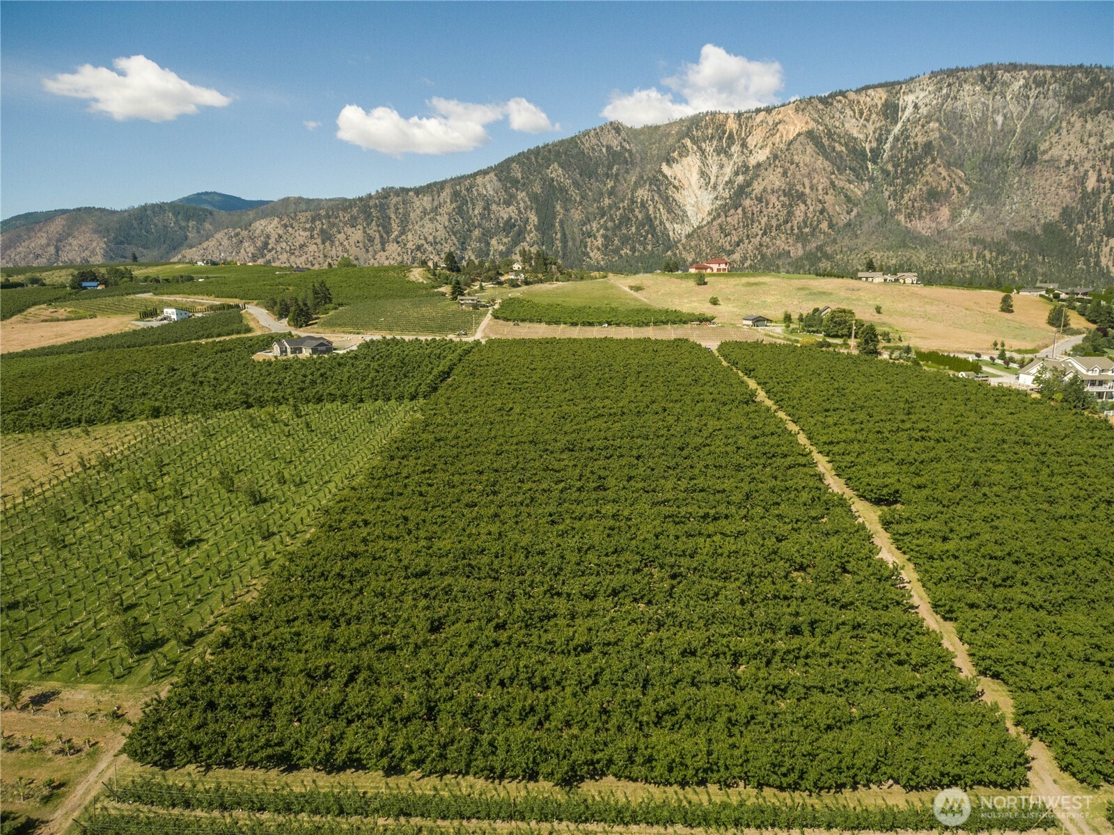 984 Loop Avenue Manson WA 98831