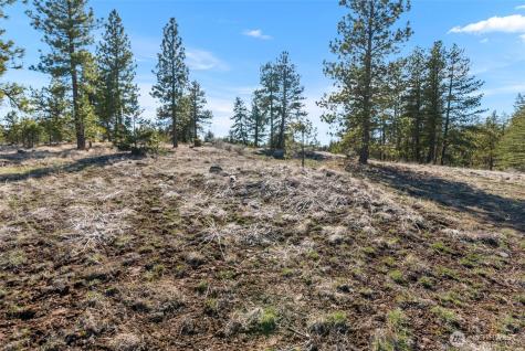 110 Blue Bird Lane East Wenatchee WA 98802