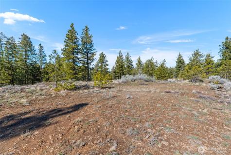 110 Blue Bird Lane East Wenatchee WA 98802