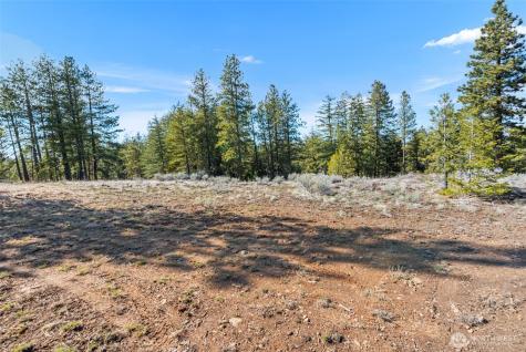 110 Blue Bird Lane East Wenatchee WA 98802