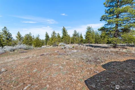 110 Blue Bird Lane East Wenatchee WA 98802