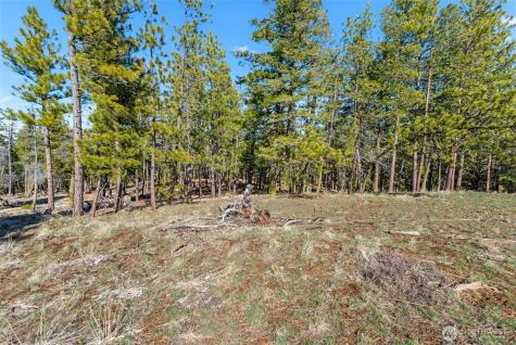 110 Blue Bird Lane East Wenatchee WA 98802