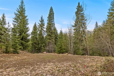 33 Lakeside Court Ronald WA 98940