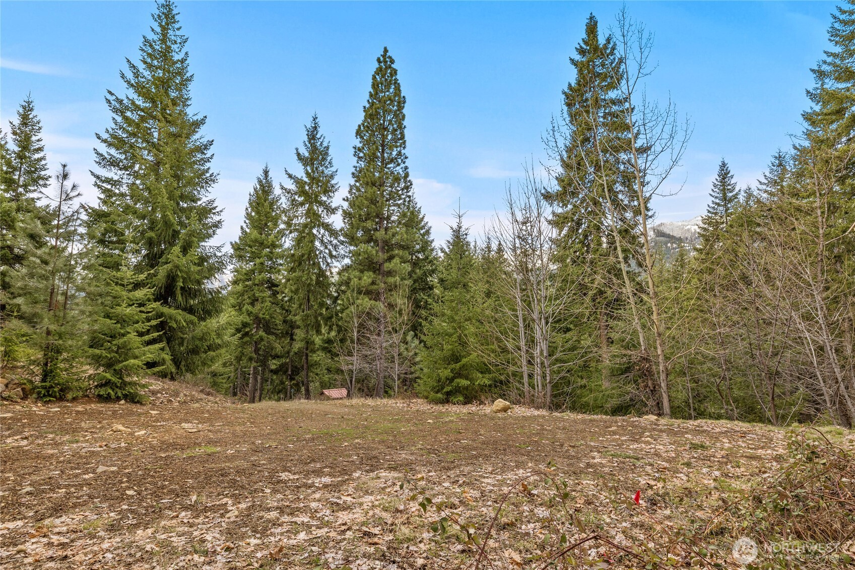33 Lakeside Court Ronald WA 98940