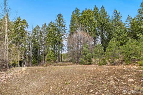 33 Lakeside Court Ronald WA 98940
