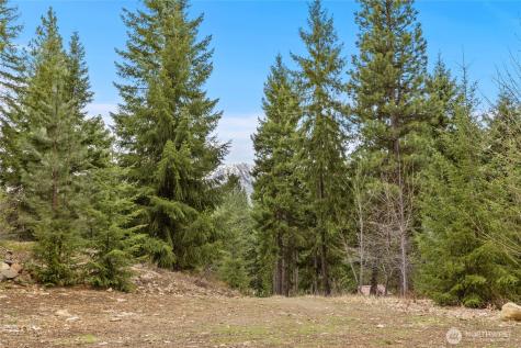 33 Lakeside Court Ronald WA 98940