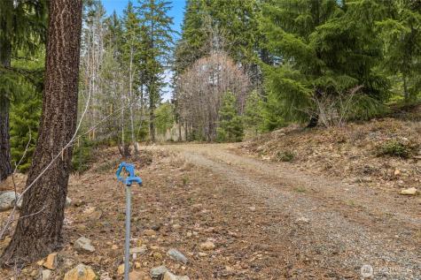 33 Lakeside Court Ronald WA 98940