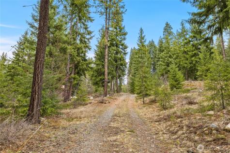 33 Lakeside Court Ronald WA 98940