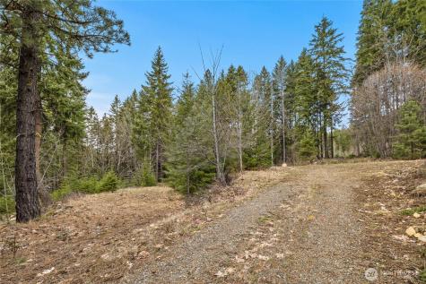 33 Lakeside Court Ronald WA 98940