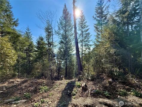 63 Devereaux Drive Lilliwaup WA 98555