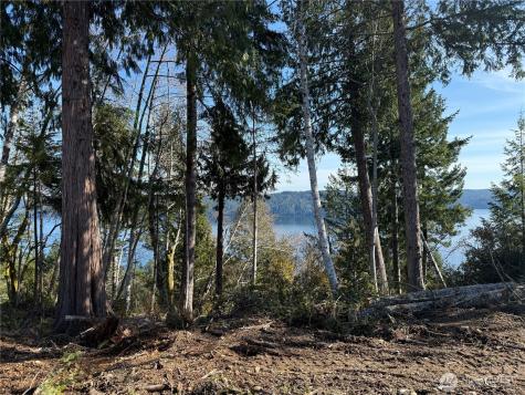 63 Devereaux Drive Lilliwaup WA 98555