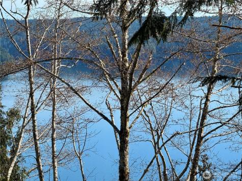 63 Devereaux Drive Lilliwaup WA 98555
