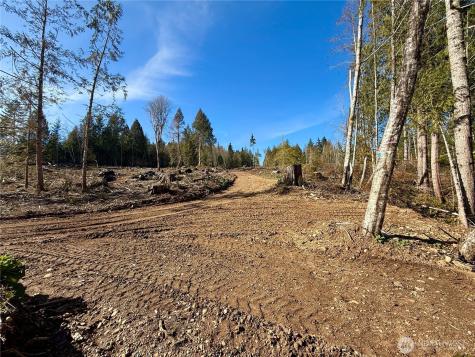 63 Devereaux Drive Lilliwaup WA 98555