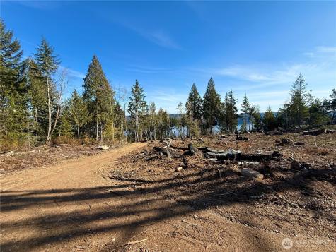 63 Devereaux Drive Lilliwaup WA 98555