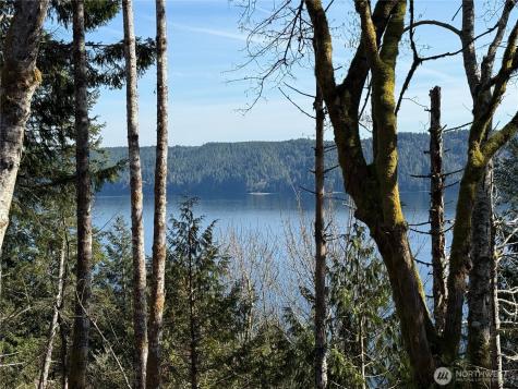 63 Devereaux Drive Lilliwaup WA 98555