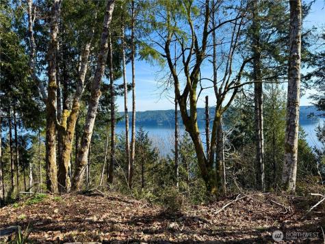 63 Devereaux Drive Lilliwaup WA 98555