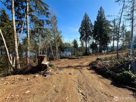 63 Devereaux Drive Lilliwaup WA 98555