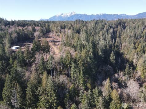 63 Devereaux Drive Lilliwaup WA 98555