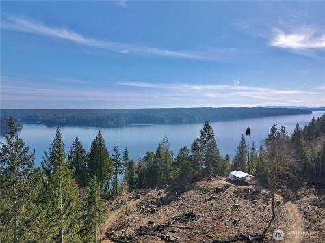 63 Devereaux Drive Lilliwaup WA 98555