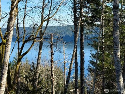 63 Devereaux Drive Lilliwaup WA 98555