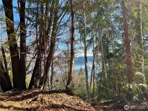 63 Devereaux Drive Lilliwaup WA 98555