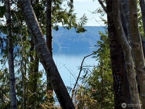 63 Devereaux Drive Lilliwaup WA 98555