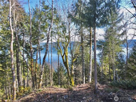 63 Devereaux Drive Lilliwaup WA 98555