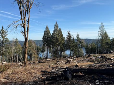 63 Devereaux Drive Lilliwaup WA 98555
