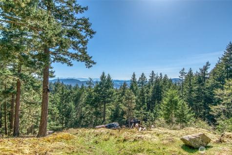 354 Helmsmens Way Orcas Island WA 98245