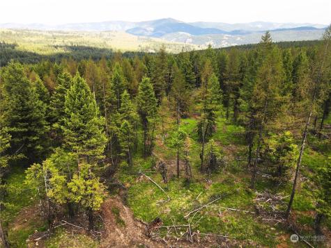 247 Prior Loop Road Oroville WA 98844