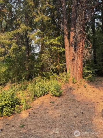 0 Little Chumstick Creek Road Leavenworth WA 98826