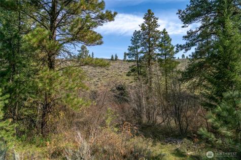 107 Wild Turkey Road East Wenatchee WA 98802