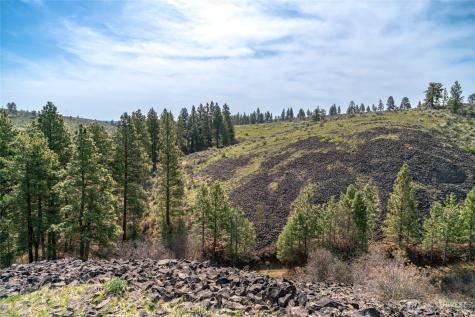 107 Wild Turkey Road East Wenatchee WA 98802