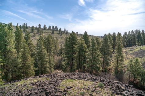 107 Wild Turkey Road East Wenatchee WA 98802