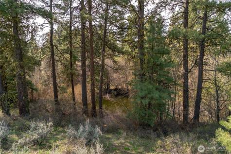 107 Wild Turkey Road East Wenatchee WA 98802