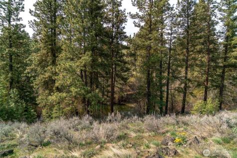 107 Wild Turkey Road East Wenatchee WA 98802