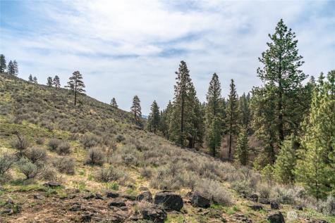 107 Wild Turkey Road East Wenatchee WA 98802