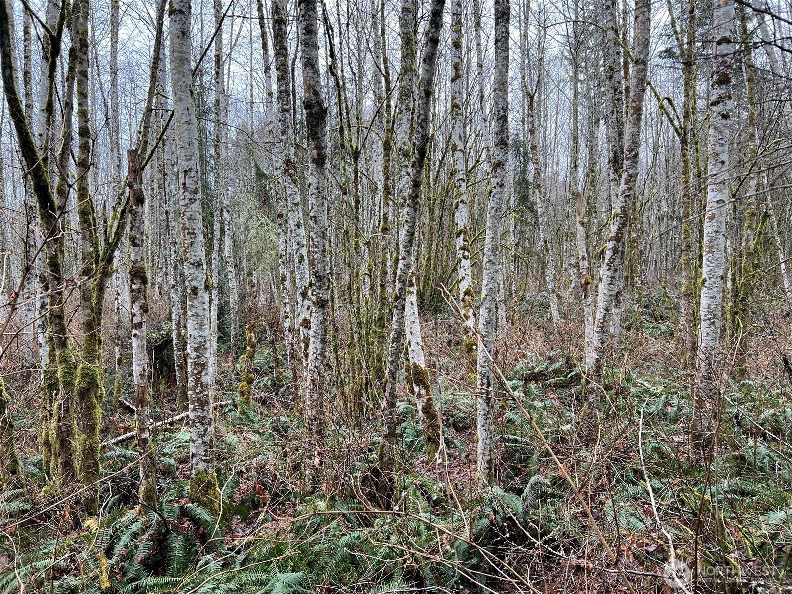 3 Scenic Drive Poulsbo WA 98370