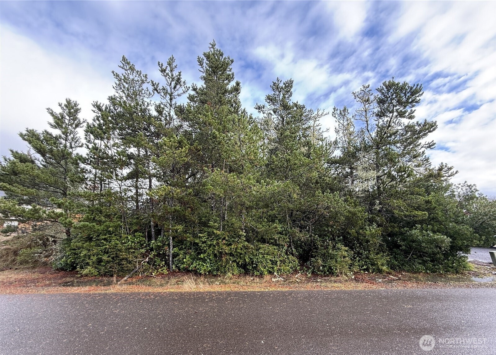 254 NE Olympic View Avenue Ocean Shores WA 98569
