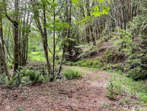 32241 N Highway 101 Lilliwaup WA 98555