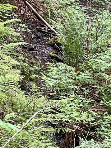 32241 N Highway 101 Lilliwaup WA 98555