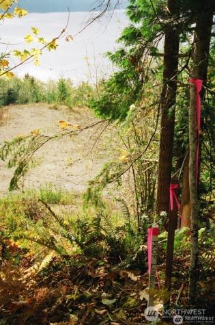 32241 N Highway 101 Lilliwaup WA 98555